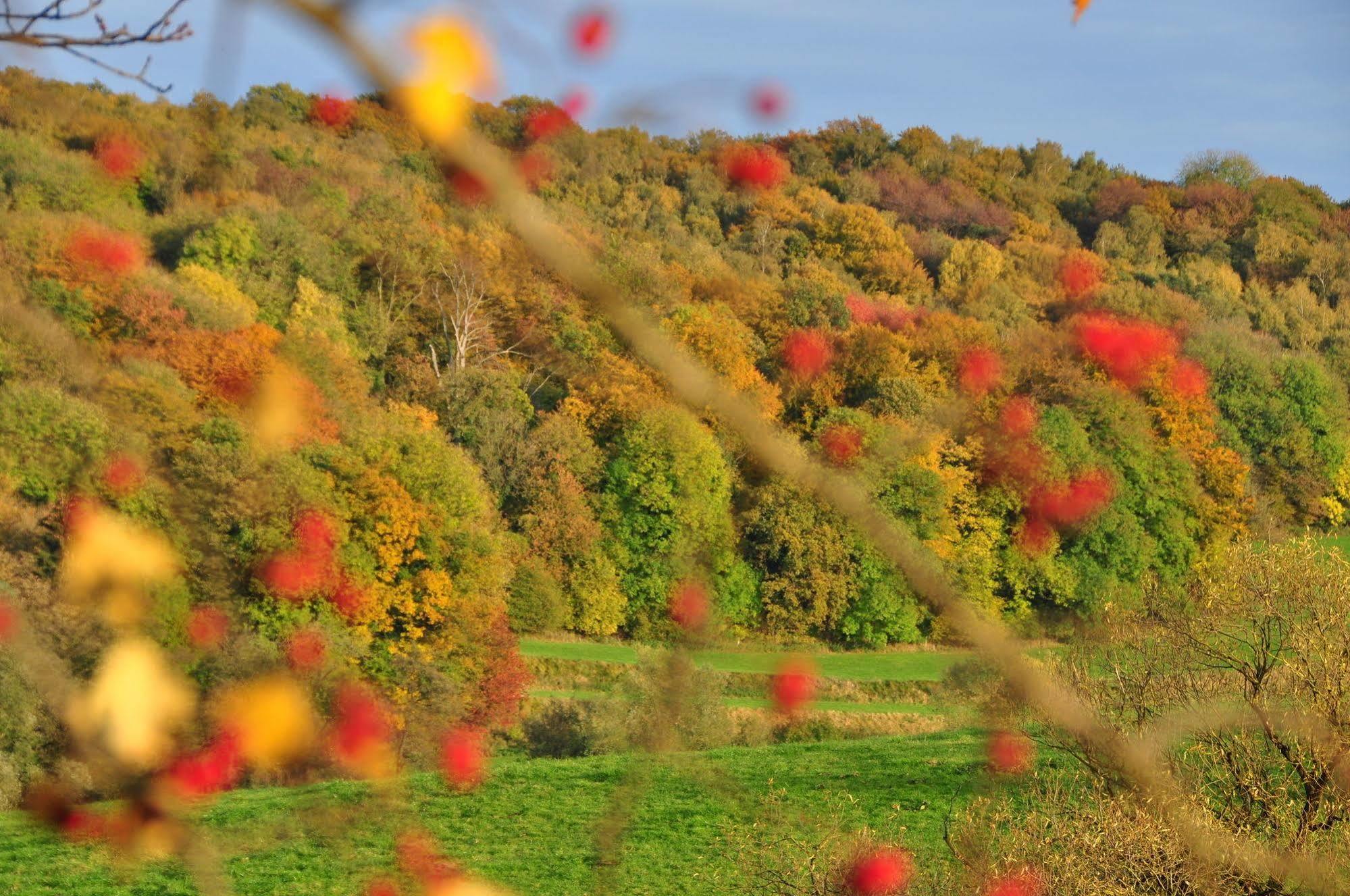 Klein Zwitserland Slenaken Esterno foto